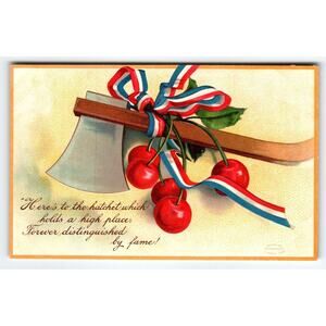 George Washington US President Patriotic Axe Cherries Postcard Embossed Germany